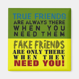 FAKE vs TRUE ~ Magnet Trugbild