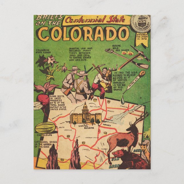 Fakten über Colorado Postkarte (Vorderseite)