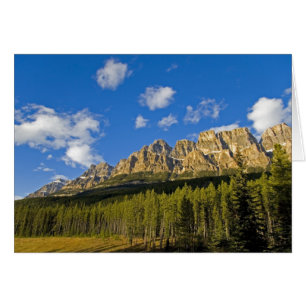 Falaises de château