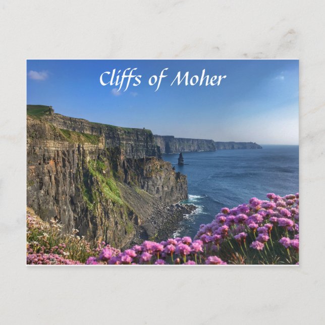 Falaises de Moher, Irlande, Carte postale Fleurs (Devant)