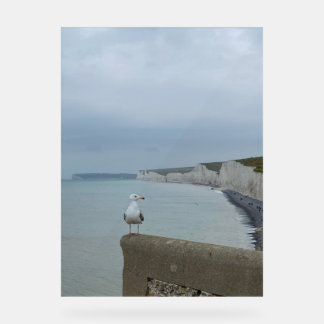 Falaises de Seagul et Seven Sisters, Royaume-Uni