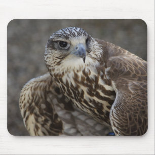Falco cherrug mousepad