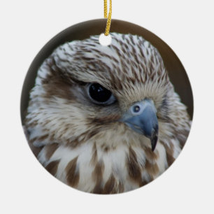 Falco cherrug Portrait Keramik Ornament