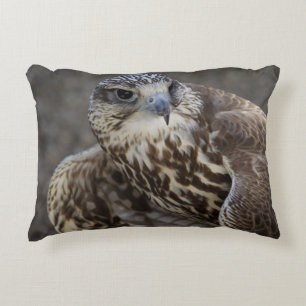 Falco cherrug zierkissen