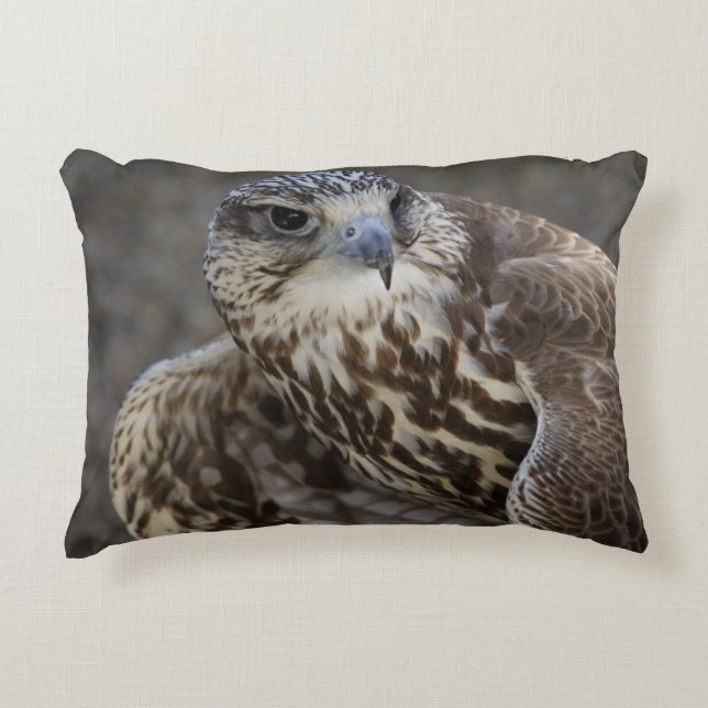 Falco cherrug zierkissen (Vorderseite)