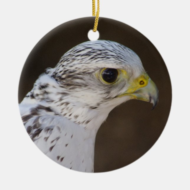 Falco rusticolus keramikornament (Vorne)