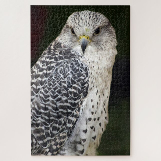 Falcon (Vertikal)