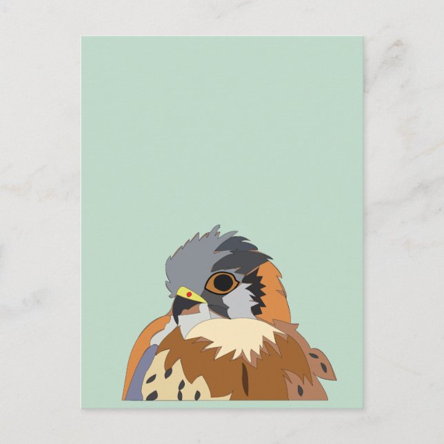 Falcon Bird Illustration Postkarte (Vorderseite)