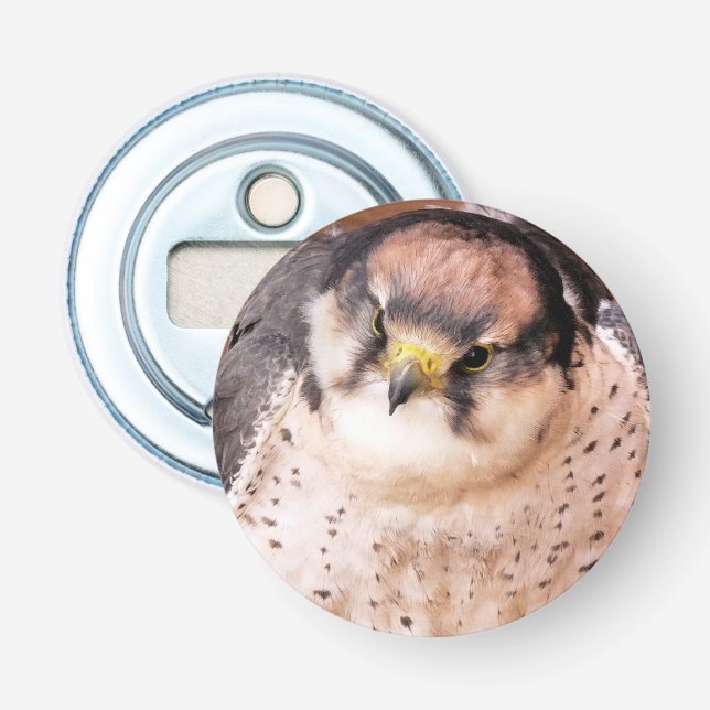 FALCON BIRD OF PREY FLASCHENÖFFNER (Vorderseite)