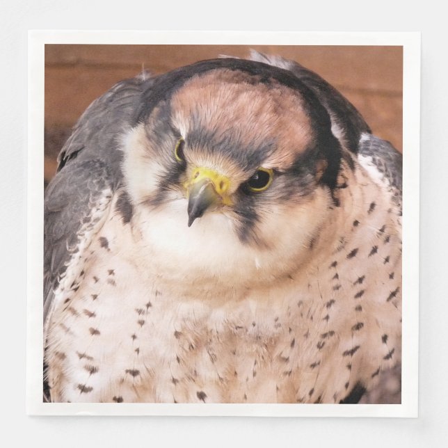 FALCON BIRD OF PREY SERVIETTE (Vorderseite)