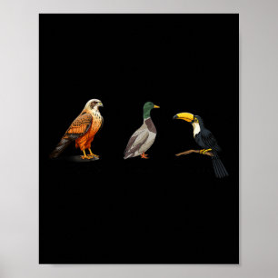 Falcon Duck Toucan Birds Subtile Anti Trump 1 Poster
