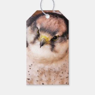 FALCON GESCHENKANHÄNGER