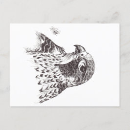 FALCON POSTKARTE