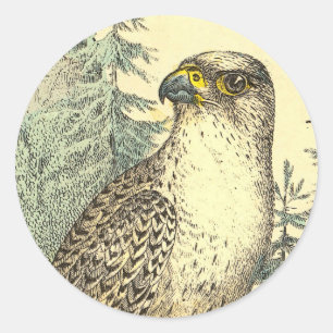 Falcon Runder Aufkleber