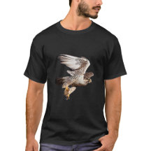 Falcon Saker flying