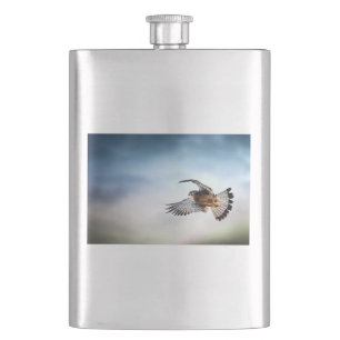Falcon Soaring in the Sky Flachmann