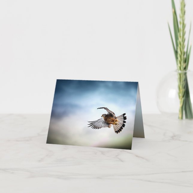 Falcon Soaring in the Sky Karte (Vorderseite)