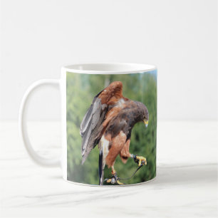 Falconry, Jessed Harris Hawk Kaffeetasse