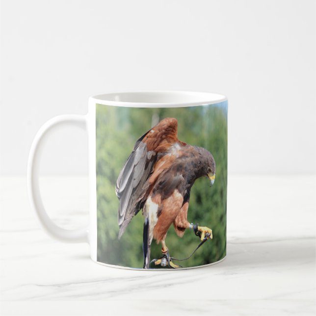 Falconry, Jessed Harris Hawk Kaffeetasse (Links)