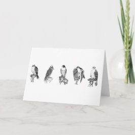 Falconry Studies Geburtskarte Karte