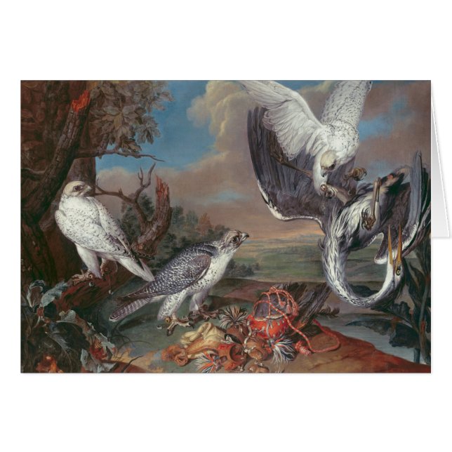 Falcons du Groenland Cyr (Devant horizontal)