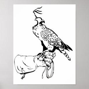 Falke auf Handschuh Poster