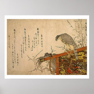 Falke auf Schirm-Stange Poster