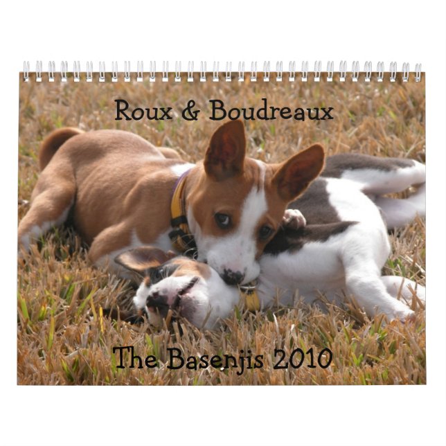 Falke-Fotografie Basenji Kalender 2010 (Titelbild)