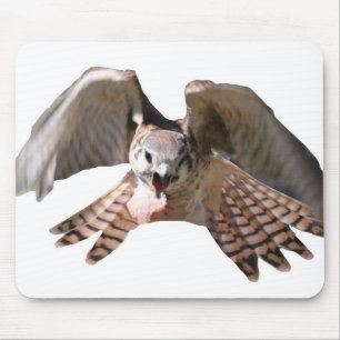 Falke Mousepad