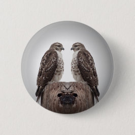 Falken auf einem Posten Button