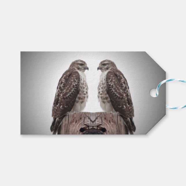 Falken auf einem Posten Geschenkanhänger (Vorderseite (Horizontal))