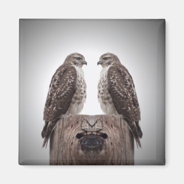 Falken auf einem Posten Magnet (Vorne)