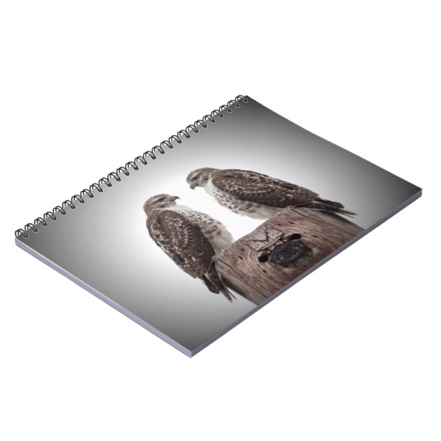 Falken auf einem Posten Notizblock (Linke Seite)