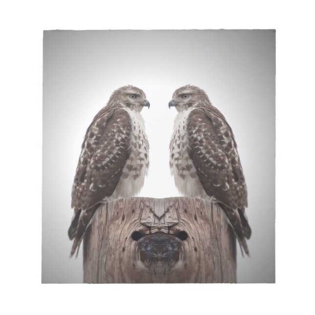 Falken auf einem Posten Notizblock (Vorderseite)