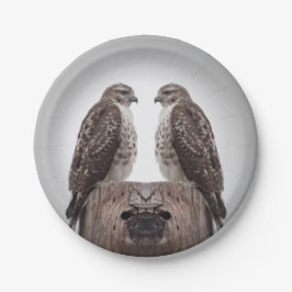 Falken auf einem Posten Pappteller