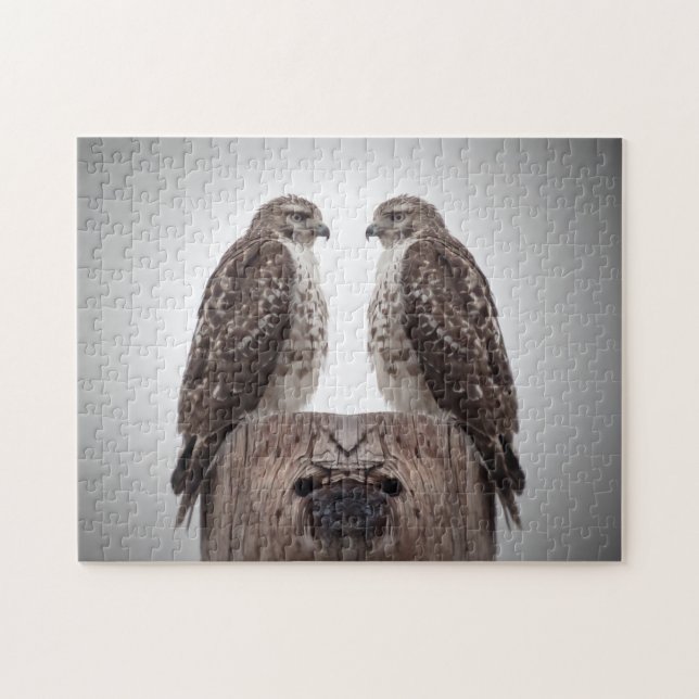 Falken auf Posten (Horizontal)