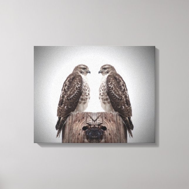 Falken auf Posten Leinwanddruck (Vorderseite)