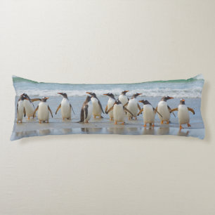 Falkland-Inseln. Saunders-Insel. Gentoo Seitenschläferkissen