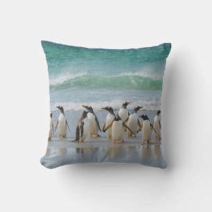 Falklandinseln. Saunders Island. Gentoo Kissen