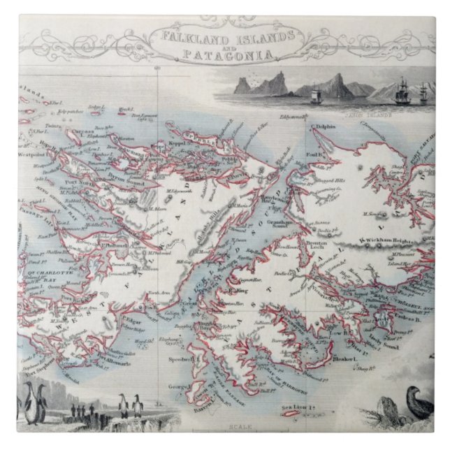 Falklandinseln und Patagonia, von einer Reihe von Fliese (Vorderseite)