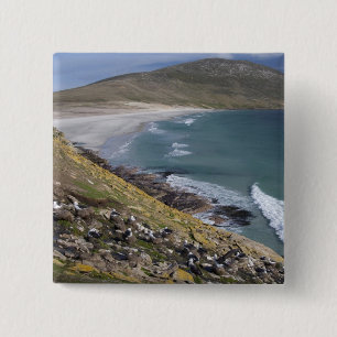Falklandinseln, West Falkland, Saunders Button