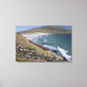 Falklandinseln, West Falkland, Saunders Leinwanddruck