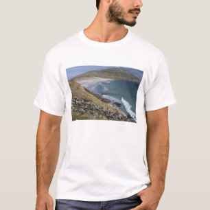 Falklandinseln, West Falkland, Saunders T-Shirt