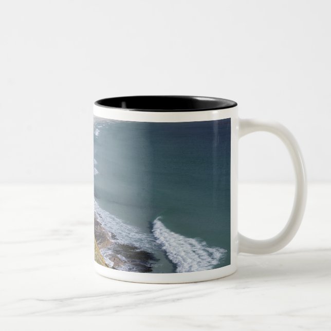 Falklandinseln, West Falkland, Saunders Zweifarbige Tasse (Rechts)