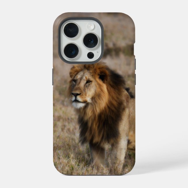Fall "African Lion in Grass iPhone 7" 15 Pro Hülle (Rückseite)