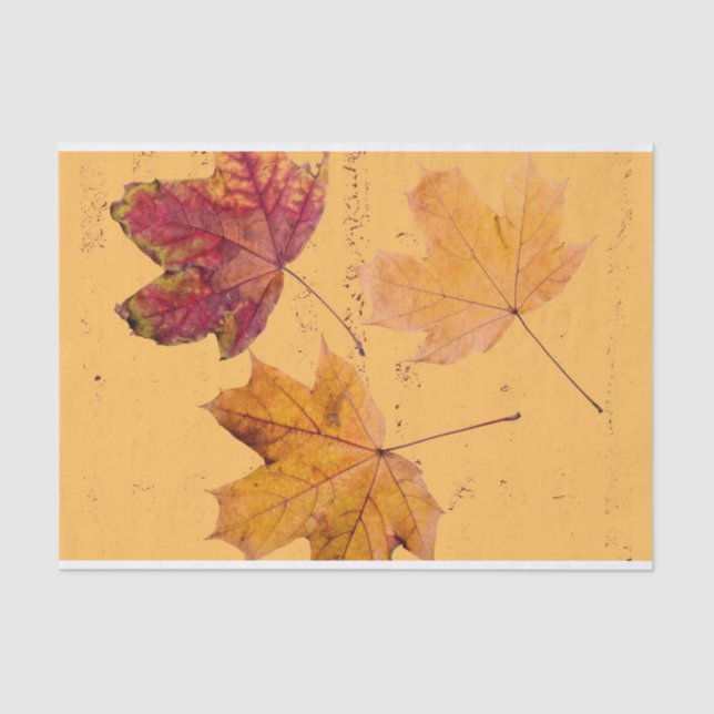 Fall Ahornleaf Brown and Orange Tissue Paper Seidenpapier (Vorderseite)