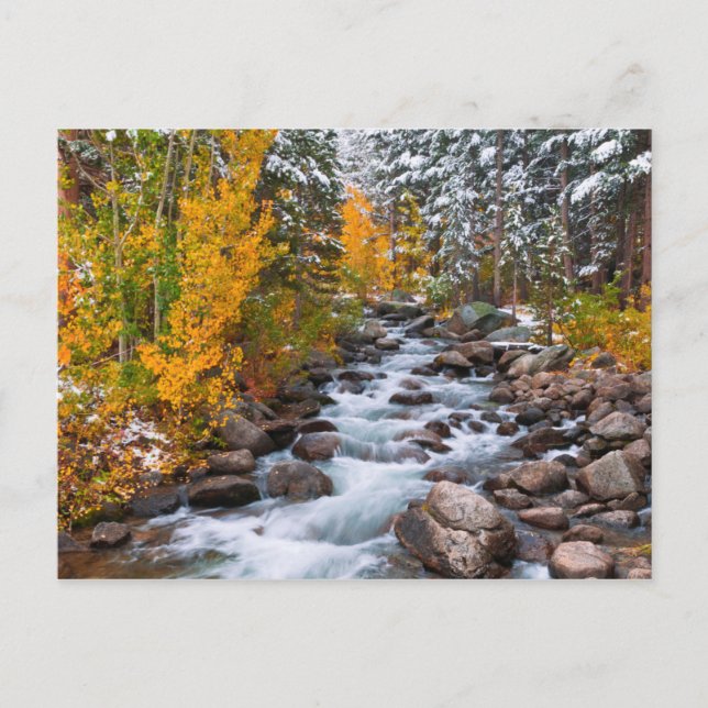 Fall along Bishop creek, California Postkarte (Vorderseite)