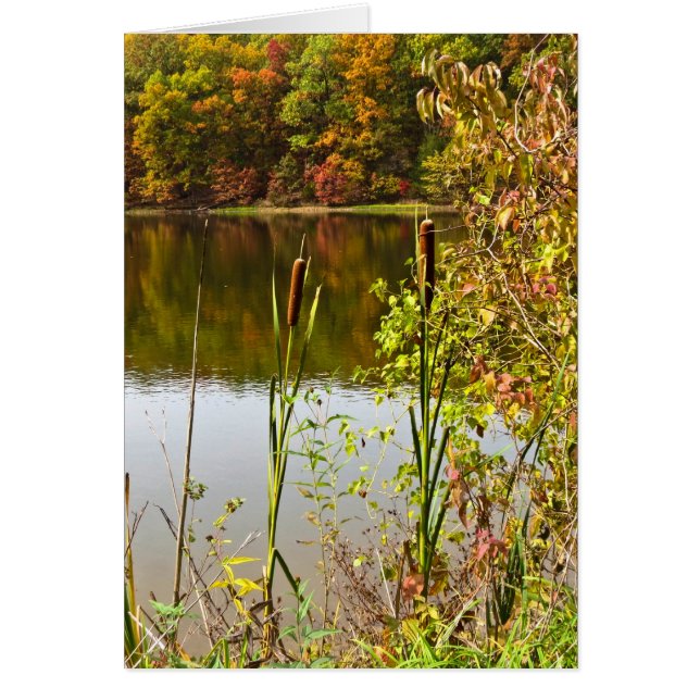 Fall am Bauernhof (Vorne)