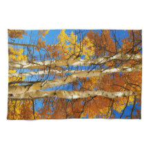 Fall Aspen Farbe Natur Foto © Sandy Long