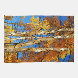 Fall Aspen Farbe Natur Foto © Sandy Long Geschirrtuch